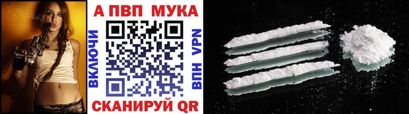 Где купить наркоту Шлиссельбург Каннабис  Псилоцибиновые грибы  omg ТОР  Гашиш  Мефедрон  Cocaine 