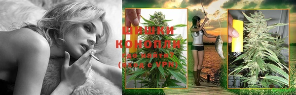 дмт Богородск